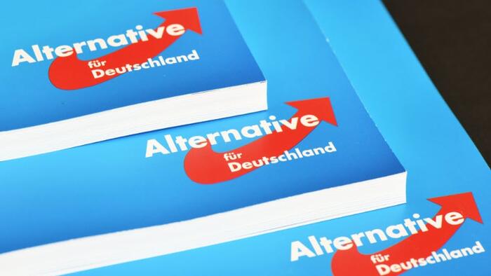 NextImg:Germany's AfD Party Rises In The West, Hits Record 19% In Baden-Württemberg