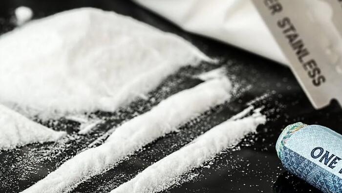 NextImg:How Albanian Gangs Are Dominating The UK's Cocaine Supply Networks