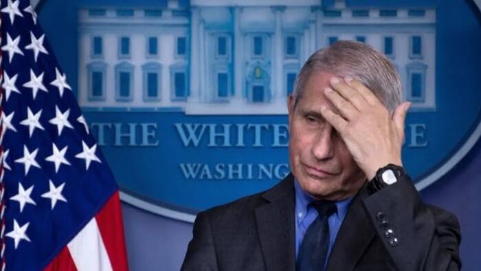 NextImg:Who Ordered The Lab-Leak Cover-Up?