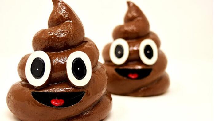 NextImg:From "America The Beautiful" To "America Smeared With Feces"...