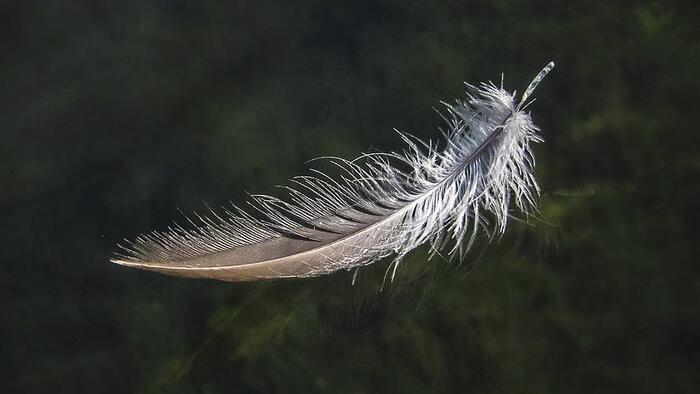 NextImg:Investors Go 'All-In' On The Soft Landing Narrative