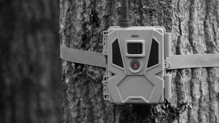 NextImg:Government Agents Routinely Entering Private Land Without Warrants