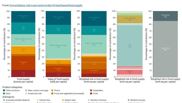 NextImg:62% Of Food Derived From Forced Labor Is "Likely Produced In The U.S."
