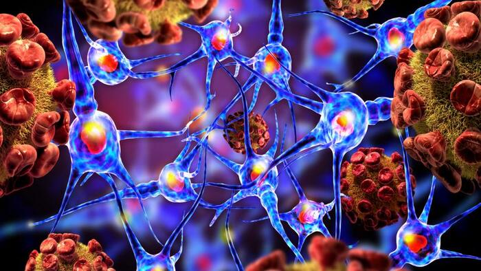 NextImg:After Long Silence On 'Long Vax', Science Magazine Links Autoimmune Disorders To COVID Shots