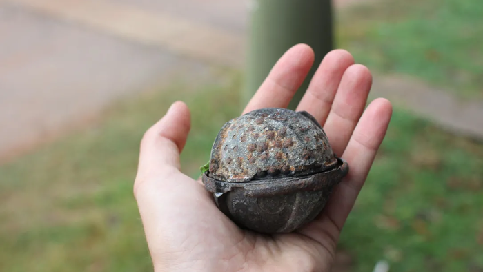 NextImg:Germany Rejects Cluster Bombs For Ukraine As Clip Surfaces Of Biden Admin Previously Calling Them A 'War Crime'