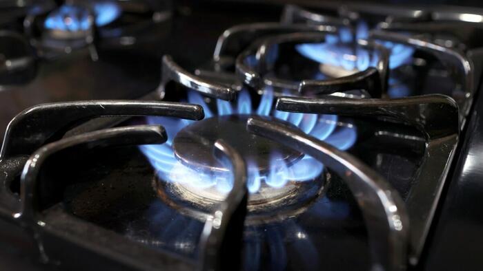 NextImg:Lawmaker Questions Top Official Over Proposed Gas Stove Ban