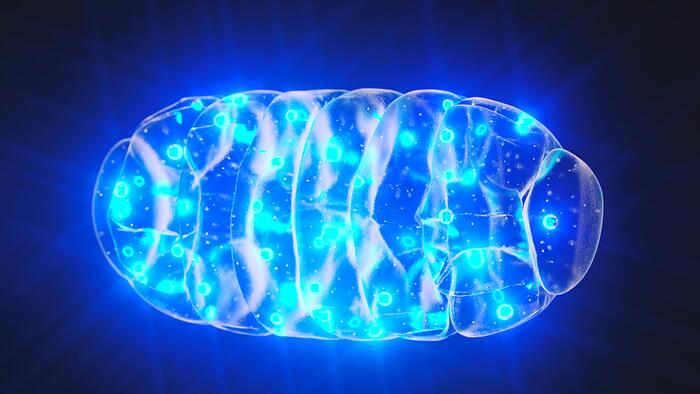 NextImg:A Root Cause Of Mental Illness: Harvard Professor