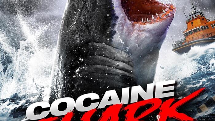 NextImg:Forget Bears... Now Coked-Out Sharks Might Lurk Off Florida Coast