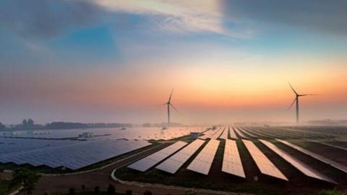 NextImg:Wind And Solar Are Not Cheaper Than Coal And Oil