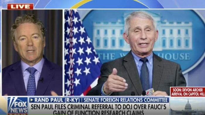 NextImg:Watch: Rand Paul Says He Has Fauci "Dead To Rights"