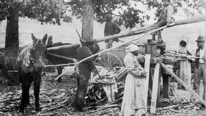 NextImg:Unnecessary Outrage Stirred By Florida's African American History Curriculum