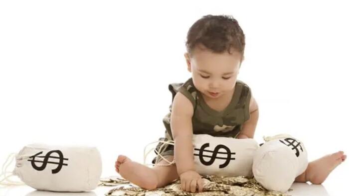 NextImg:How Wall Street Is Killing The American Dream