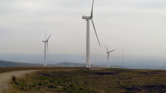 NextImg:Scottish Govt Axes 16 Million Trees To Clear Way For 'Greener' Solutions