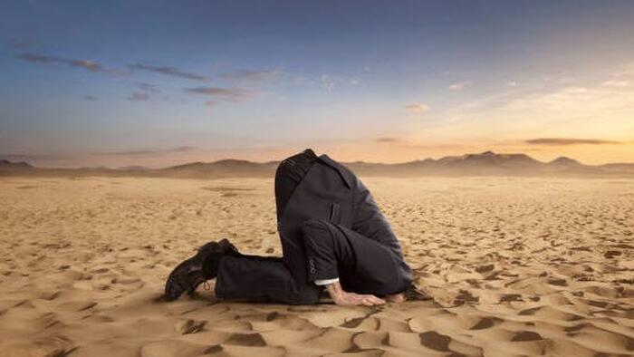 NextImg:Keeping Your Head Amidst Debt-Blind Madness