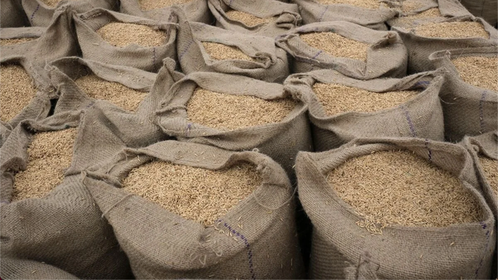 NextImg:Rice Crisis Sends Prices To Highest Levels Since 2008