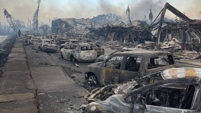 NextImg:"Wiped Off Map": Hawaii Wildfires Level Entire Town, Claiming 36 Lives