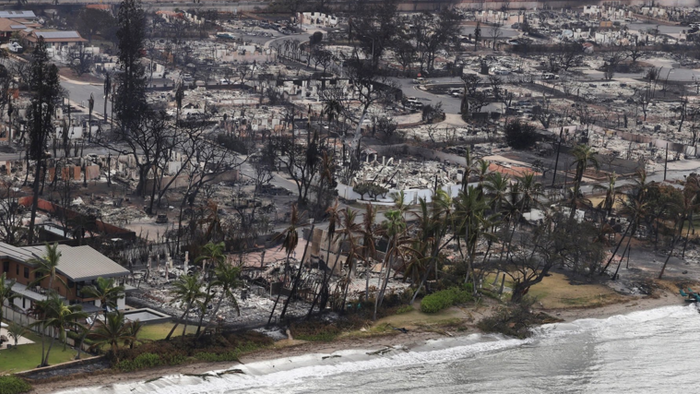 NextImg:'Looks Like Bomb Went Off': Death Toll Tops 55 From Maui Wildfires