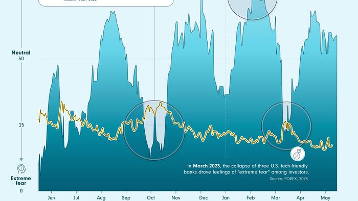 NextImg:Visualizing Market Volatility And Investor Emotions