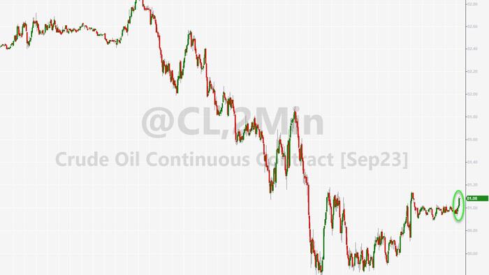 NextImg:WTI Holds Losses Despite Bigger Than Expected Crude Draw
