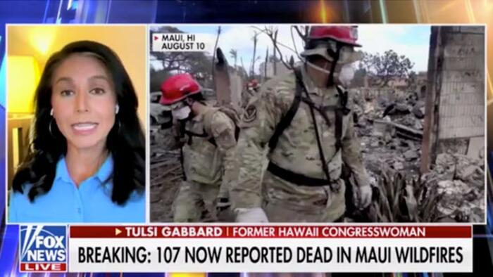 NextImg:Watch: Tulsi Gabbard Blasts Biden Admin's "Horrible" Response To Maui Disaster