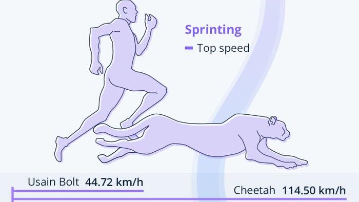 NextImg:Athletes Vs Animals... Not Even Close