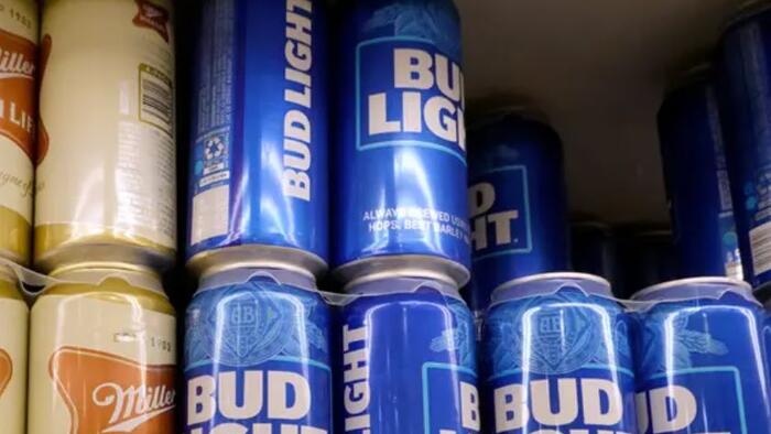 NextImg:Sen. Ted Cruz Demands Anheuser-Busch Hand Over Dylan Mulvaney Information