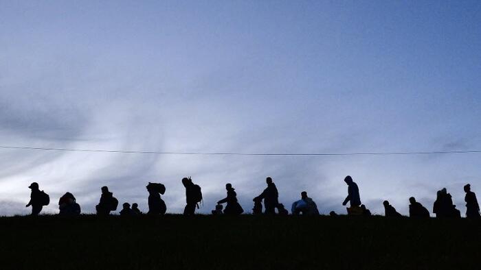 NextImg:Poles Overwhelmingly Oppose EU Migration Reforms
