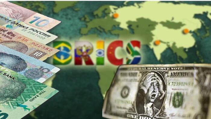 NextImg:Peter Schiff: BRICS Nations Will Blunt Western Dominance