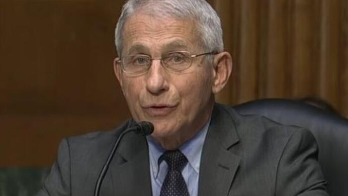 NextImg:Legal Concerns Halt NIH $154 Million "False Information" Program