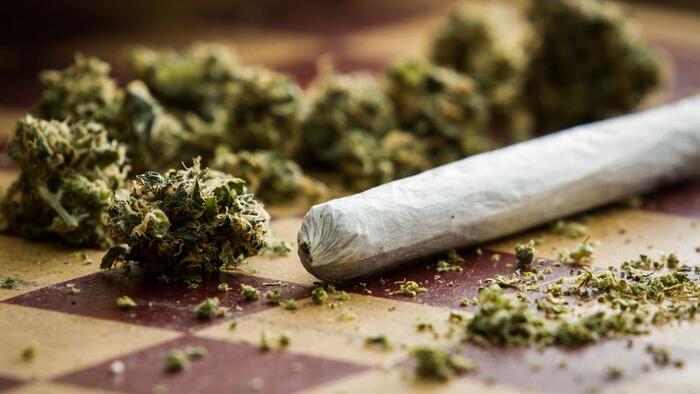 NextImg:Half Of Americans Live In States Where Weed Is Legal, Health Officials Push To Ease Restrictions