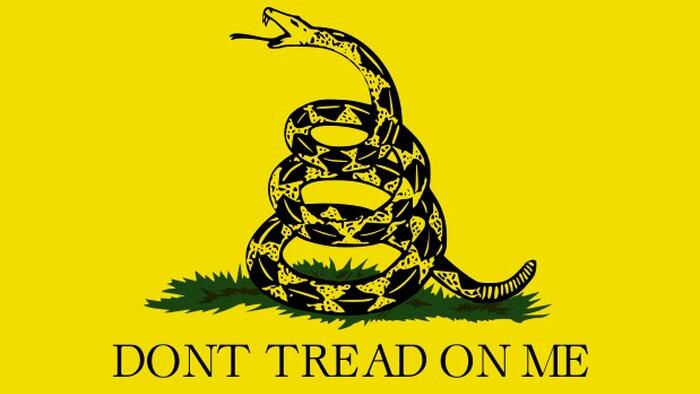 NextImg:Colorado Controversy Raises Questions Over The Meaning Of The Gadsden Flag
