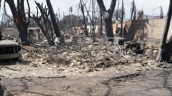 NextImg:Why Is There Such A Frenzy To Buy Up The Properties That Were Just Burned Down During The Fires In Hawaii?