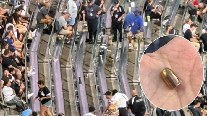 NextImg:Two Women Shot In Bleachers At Chicago White Sox Game