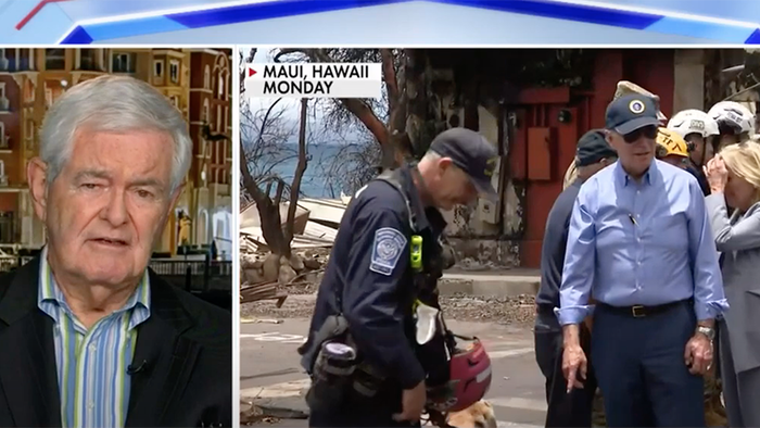 NextImg:Gingrich Says Biden Behavior In Maui 'Just Plain Frightening' As MSM Triggered Over 'Nodgate'