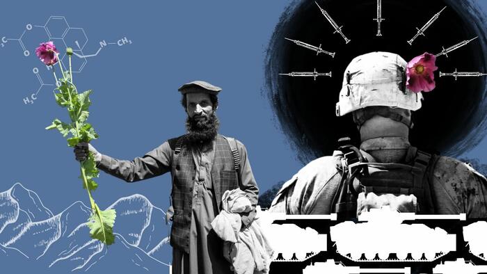 Taliban's Massively Successful Opium Eradication Raises Questions About What US Was Doing All Along - Vimarsana News
