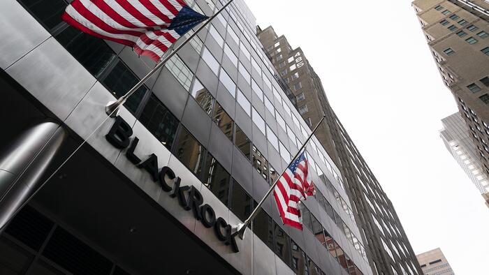 NextImg:BlackRock And Its ESG 'Voting Choice' Ruse