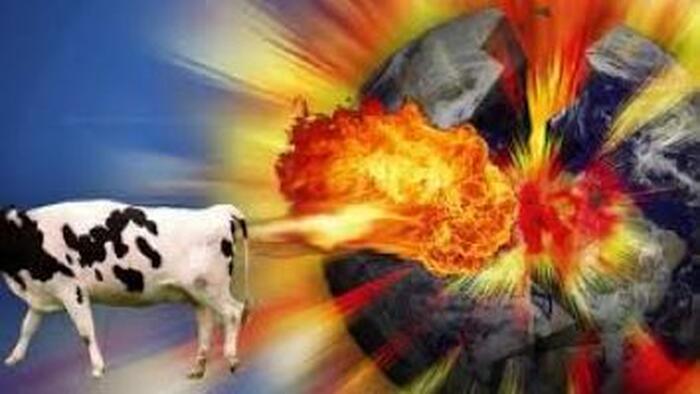 NextImg:Why Flatulent Cows Matter
