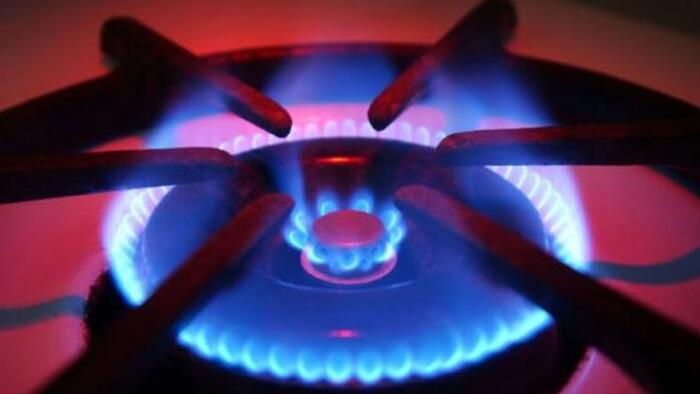 NextImg:Biden Admin Reduces Savings Estimate For Americans Switching Away From Gas Stoves: Industry Group
