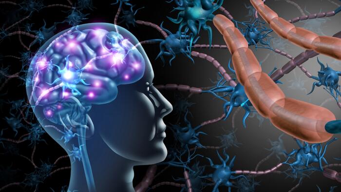 NextImg:New Research Validates Autism's Link To Gut