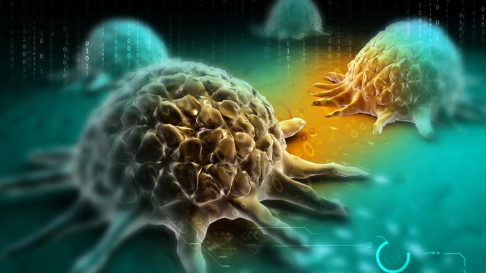 NextImg:EMFs A Possible Human Carcinogen