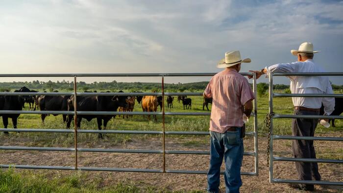 NextImg:Where's The Beef? Ranchers Take Stand Over Synthetic 'Meat' Label