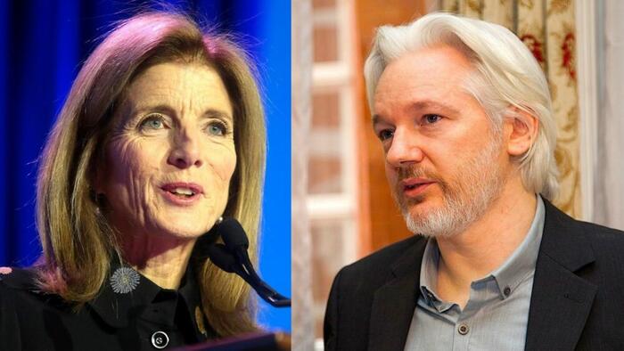 NextImg:US Ambassador Says White House Open to Assange Plea Deal
