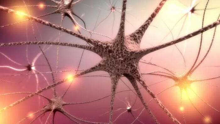 NextImg:COVID-19 Vagus Nerve Inflammation May Lead To Dysautonomia: New Study