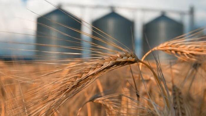 NextImg:European Commission Grapples With Influx Of Ukraine Grain