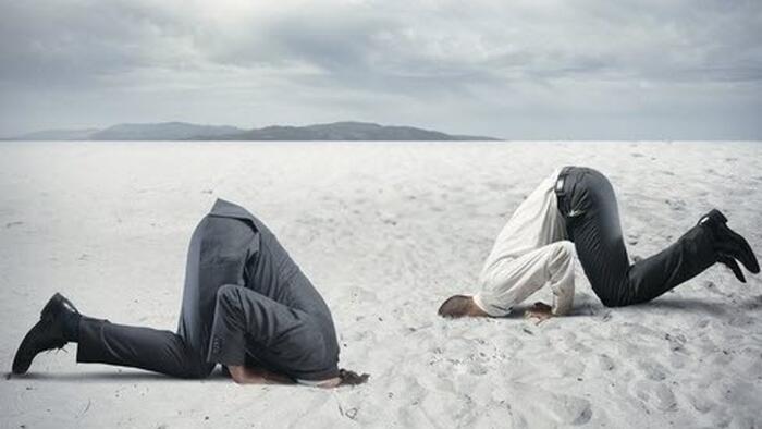What If We Had A Functional Media? - Vimarsana News