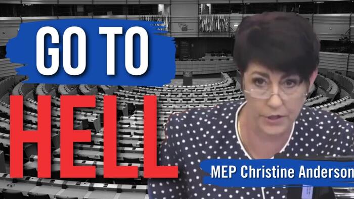 NextImg:"Go To Hell": Brave EU Politician Delivers Damning Message To Global Tyrants
