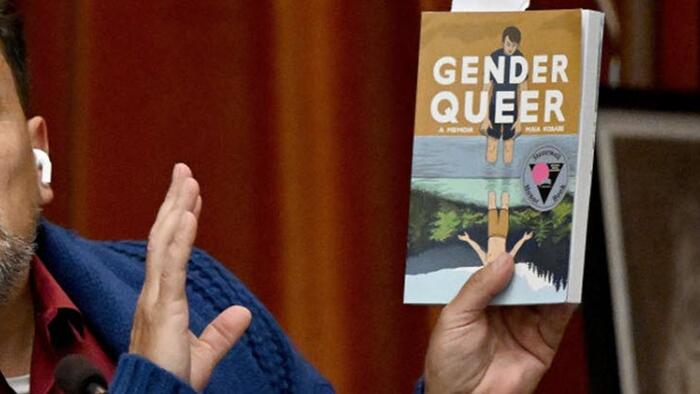 NextImg:Author Of 'Gender Queer' Book Found In Schools Says "I Don't Recommend This Book For Kids"