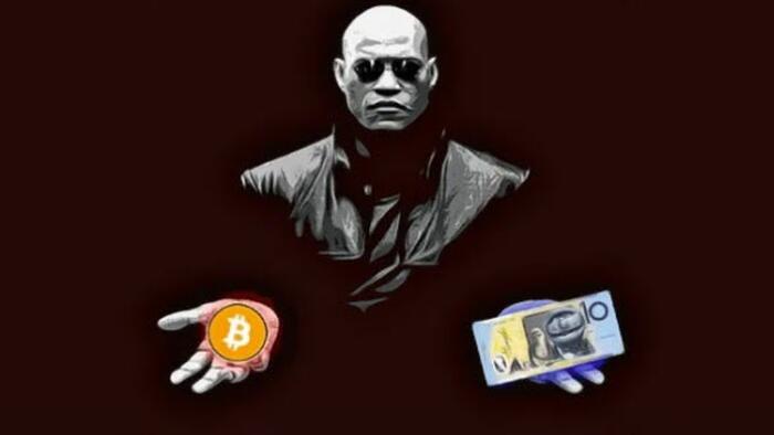 NextImg:The Subtle Art Of Orange-Pilling