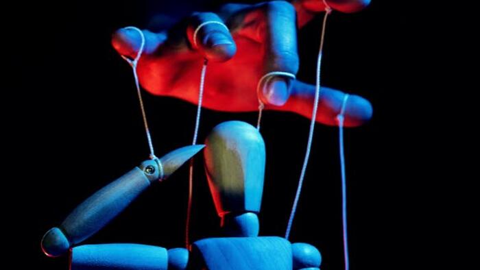 NextImg:The New Abnormal: Authoritarian Control Freaks Want To Micromanage Our Lives
