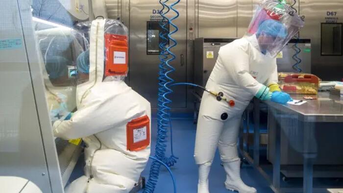 NextImg:NIH Doctor Flagged Wuhan Virus Lab Safety Problems As Early As 2017